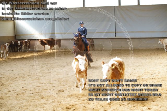 s_K3F02158.JPG
